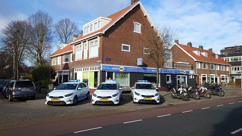 Een lesauto van Rijschool Animo-Nr.1 in een woonwijk in Haarlem